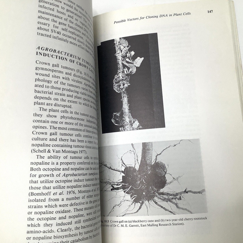 Principles of Gene Manipulation An introduction to Genetic Engineering Primrose - Picture 6 of 7